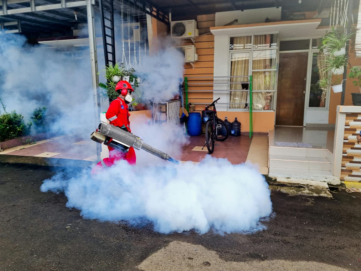 Fogging termic cu fum dens pentru combaterea țânțarilor și insectelor zburătoare în exterior