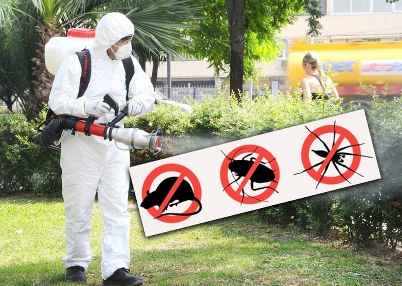 Subsol bloc de locuințe din București, pregătit pentru tratament DDD profesional